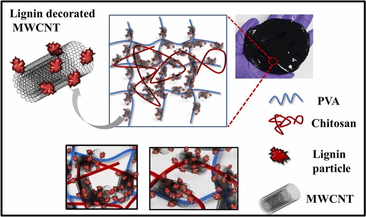 Flexible Biopolymer Supercapacitors